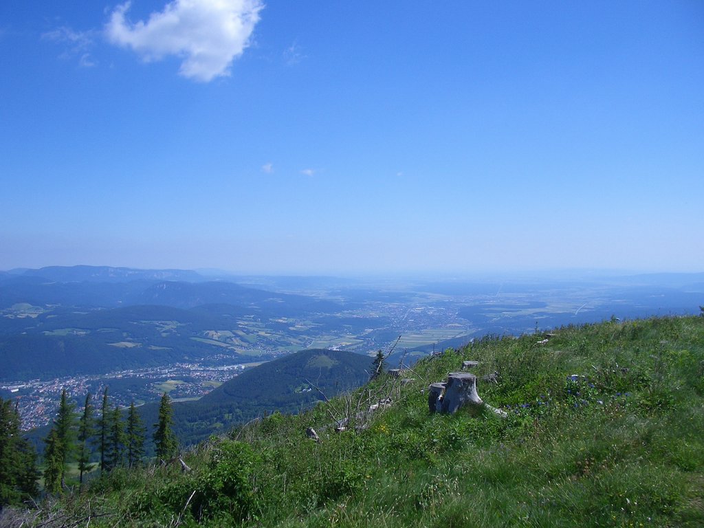 CIMG5686.JPG
