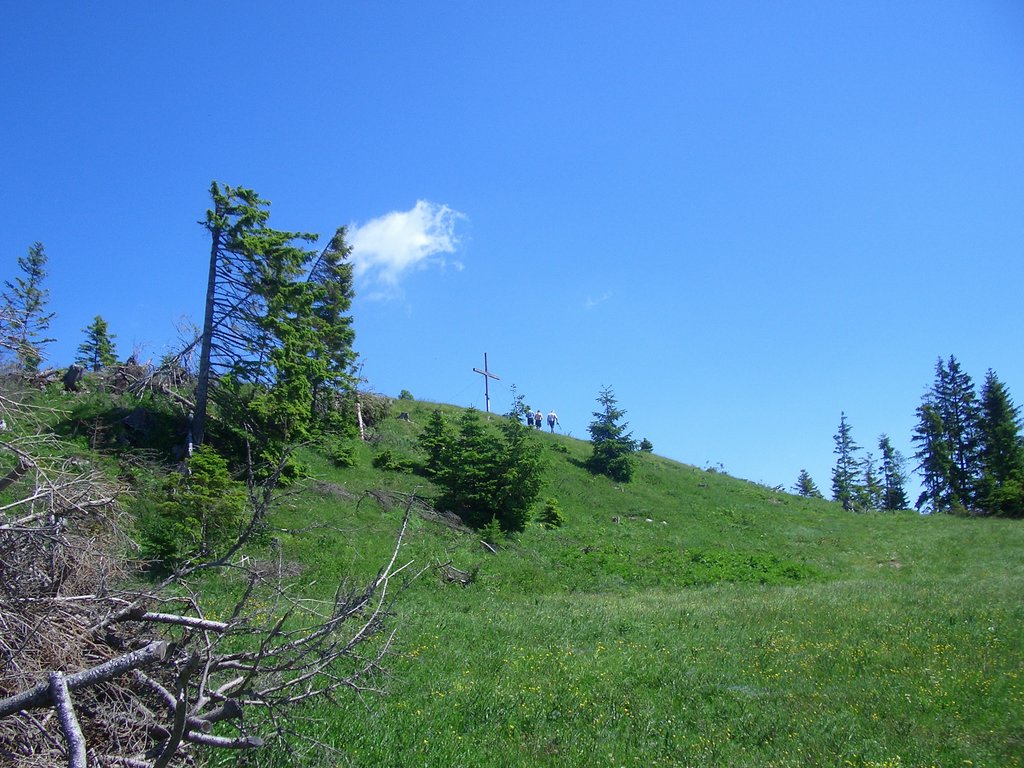 CIMG5690.JPG