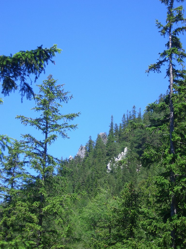 CIMG5699.JPG