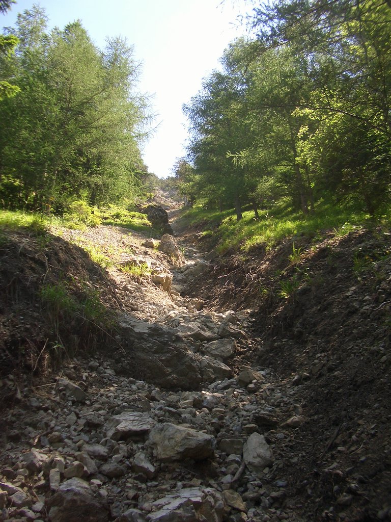 CIMG5710.JPG
