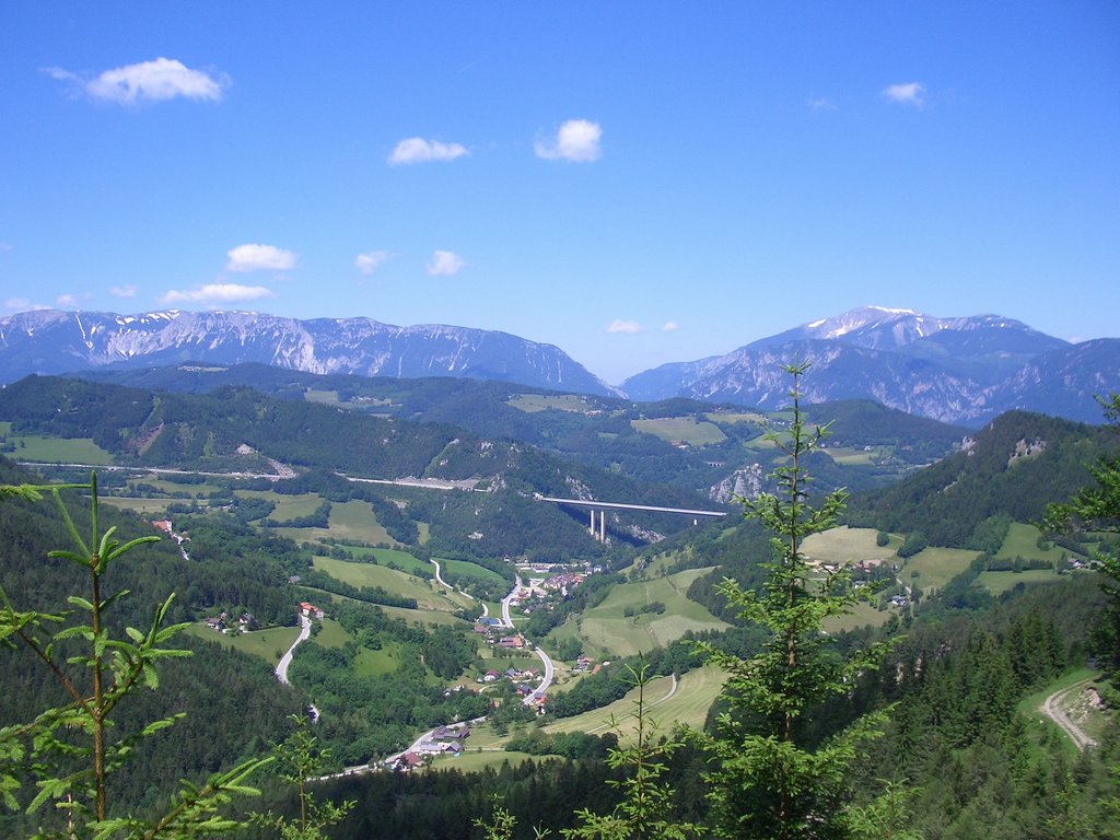 CIMG5712.JPG