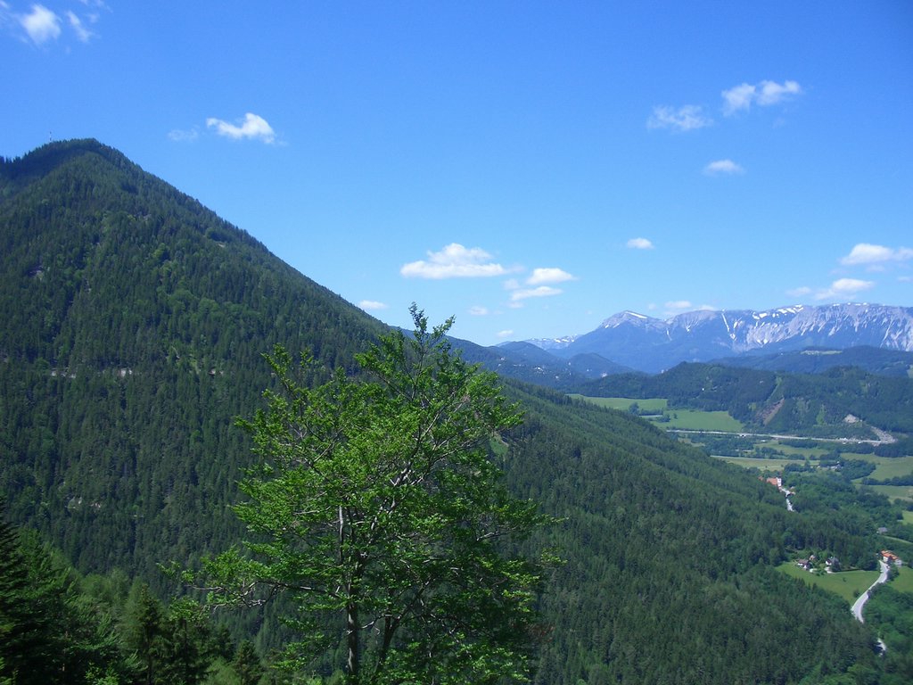 CIMG5715.JPG