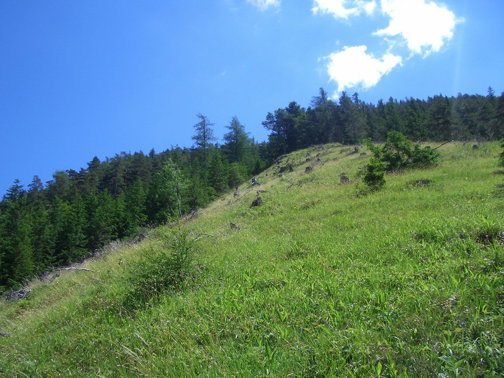 CIMG5719.JPG