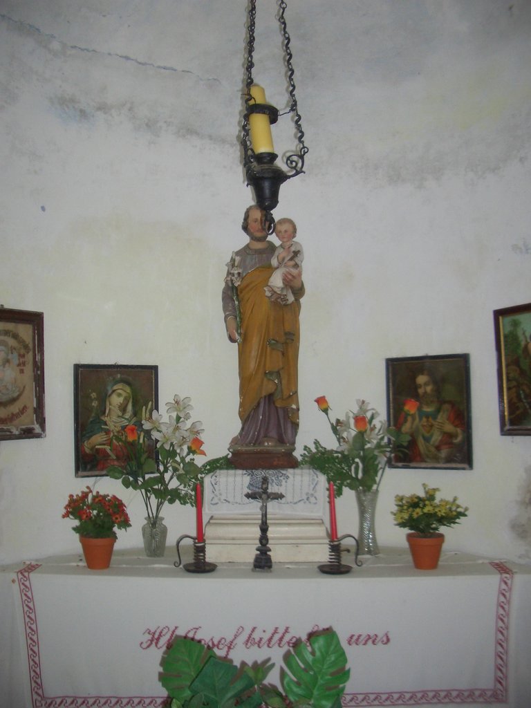 CIMG5726.JPG