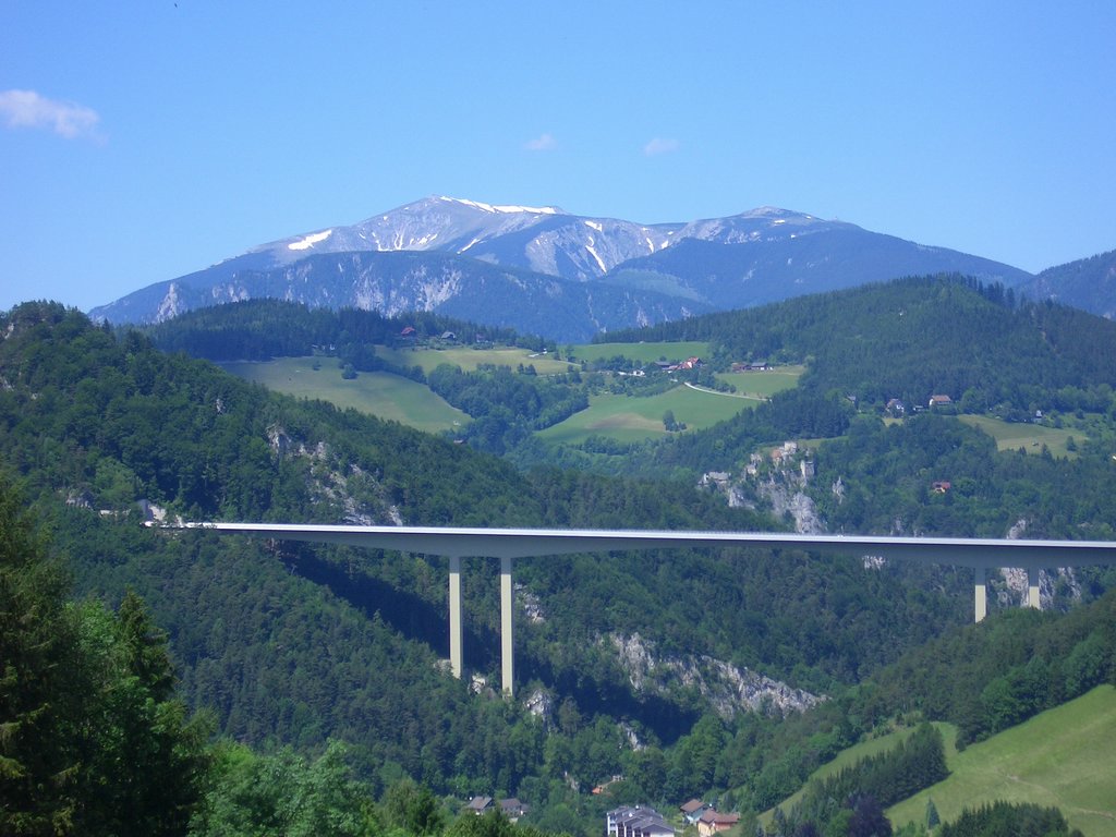 CIMG5747.JPG