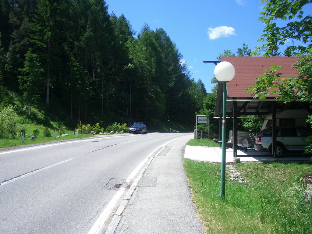 CIMG5748.JPG