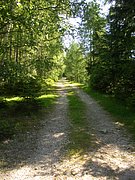CIMG5667.JPG