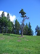 CIMG5672.JPG