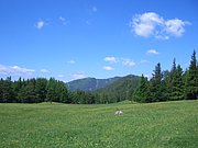CIMG5675.JPG