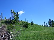 CIMG5690.JPG