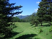 CIMG5693.JPG