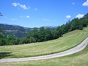 CIMG5737.JPG