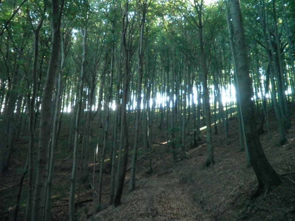 P8150006.JPG
