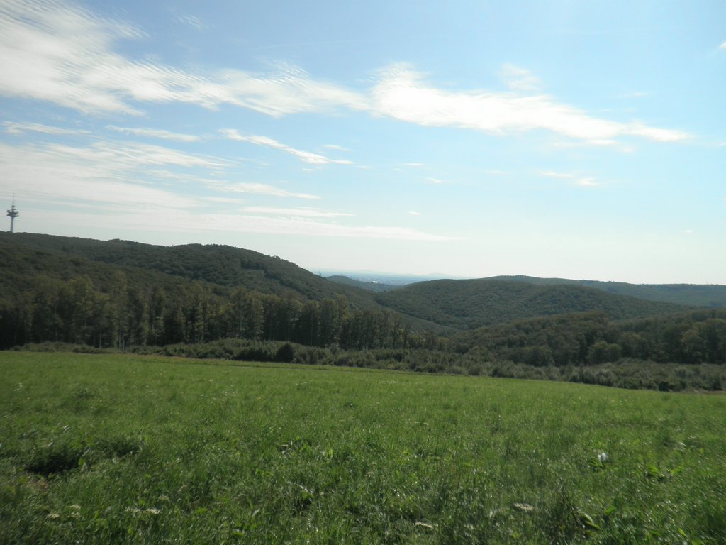 P8150007.JPG