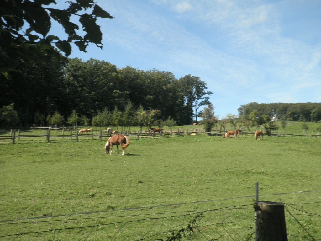 P8150017.JPG