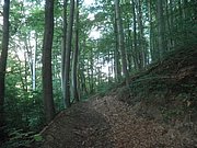 P8150005.JPG