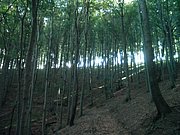 P8150006.JPG
