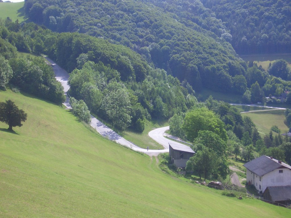 CIMG5428.JPG