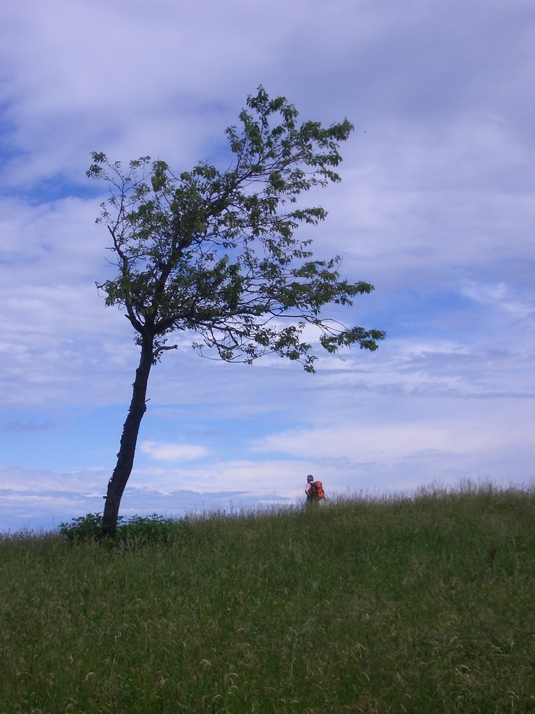 CIMG5449.JPG