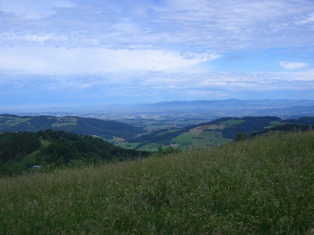 CIMG5450.JPG