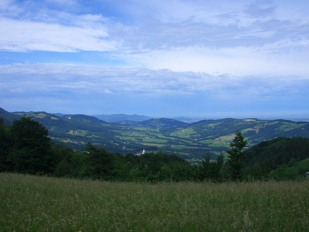 CIMG5451.JPG