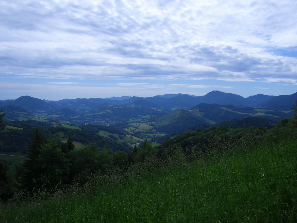 CIMG5455.JPG