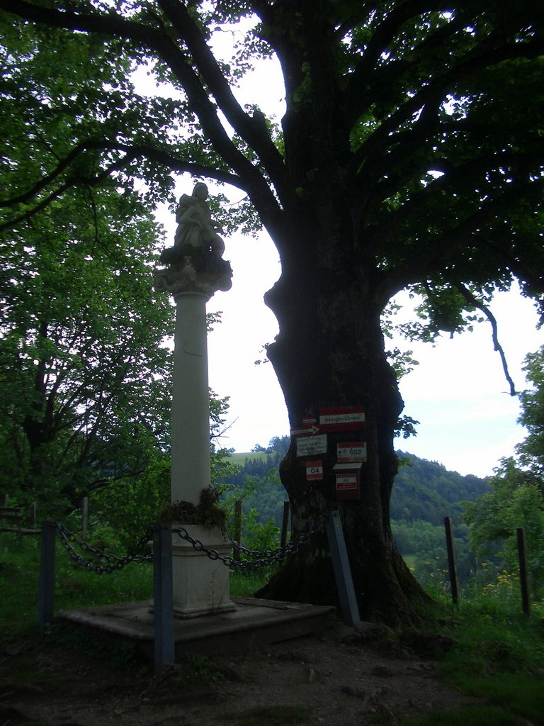 CIMG5473.JPG