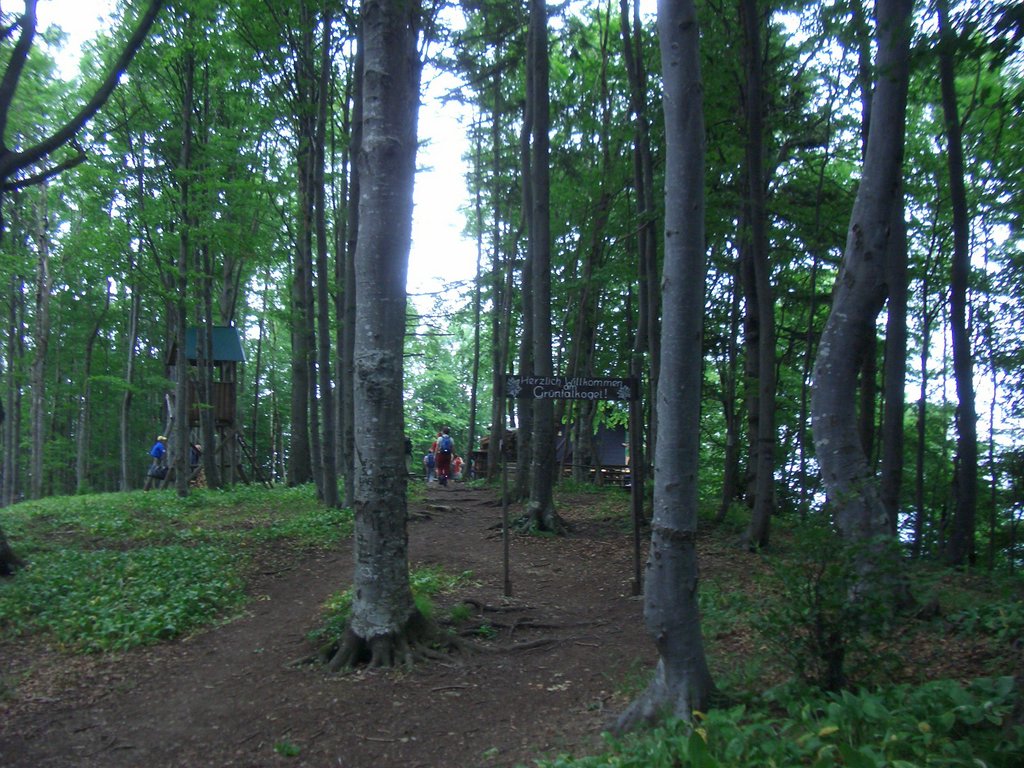 CIMG5479.JPG