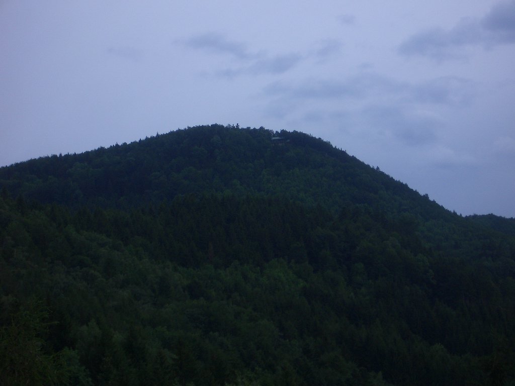 CIMG5525.JPG