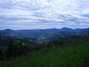 CIMG5455.JPG