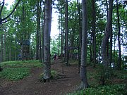 CIMG5479.JPG