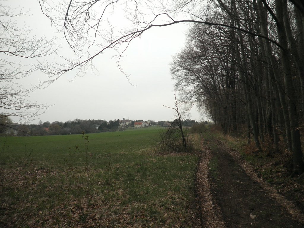 P4180030.JPG