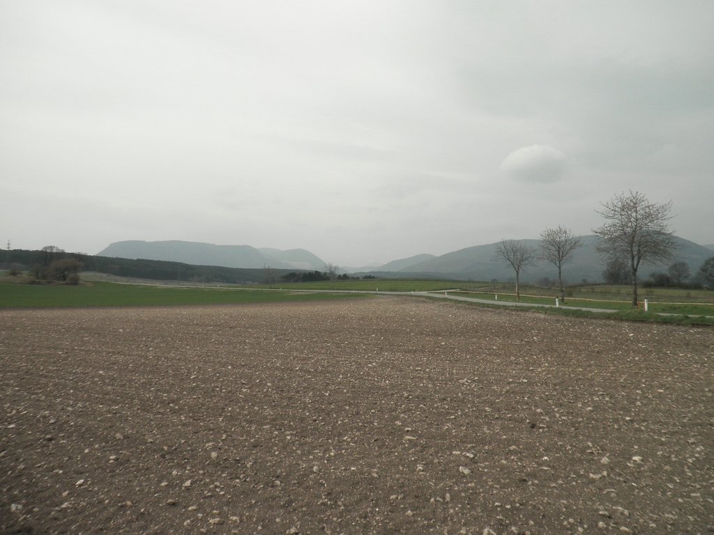 P4180037.JPG