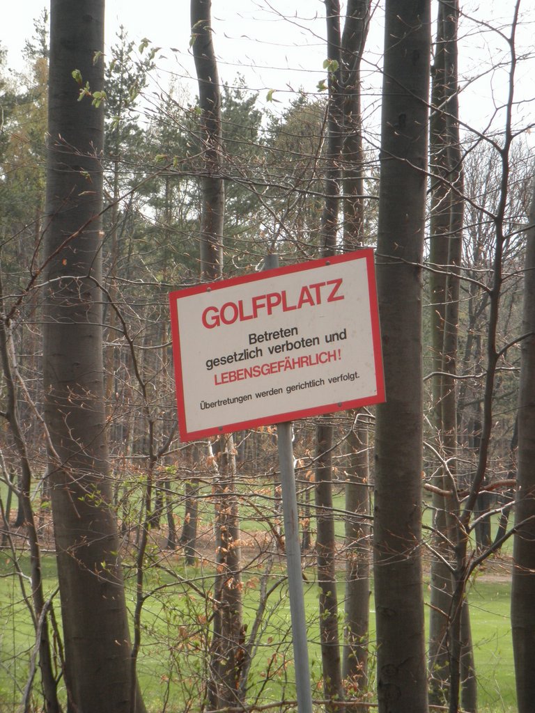 P4180060.JPG