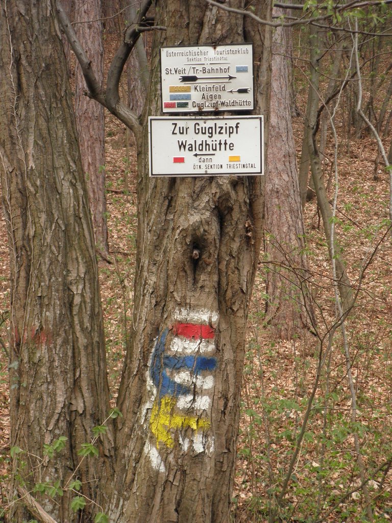 P4180072.JPG
