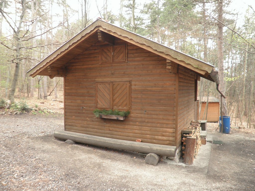P4180073.JPG