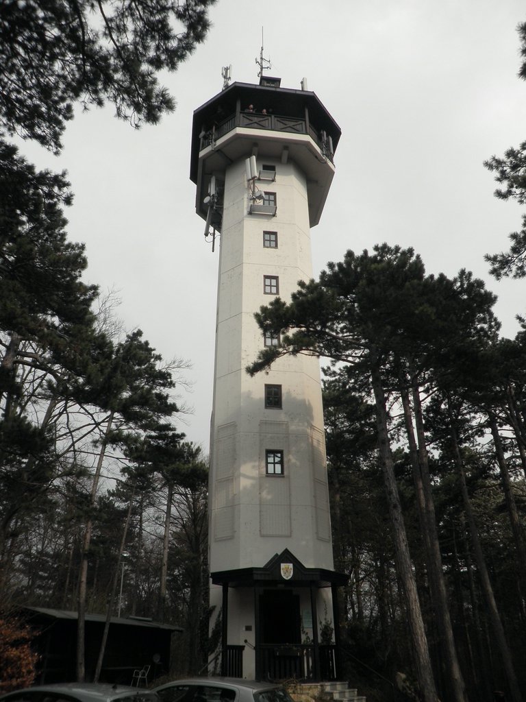 P4180085.JPG