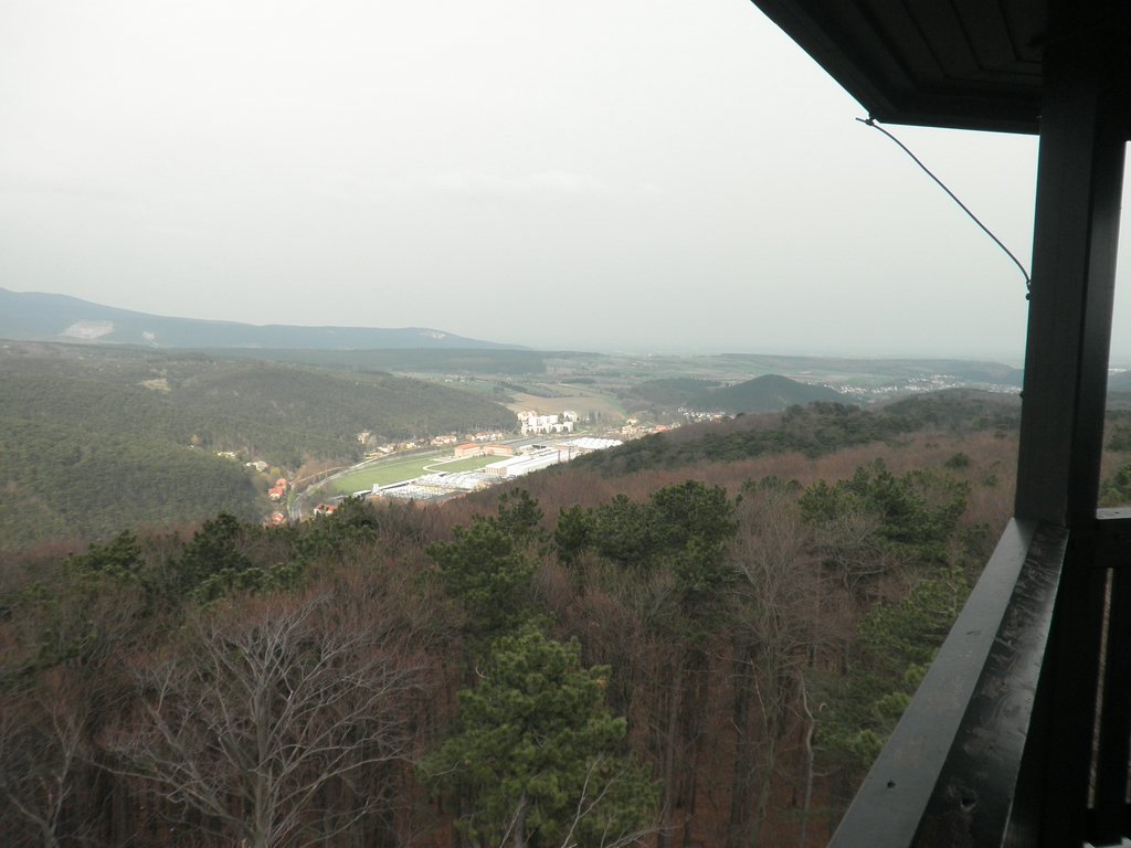 P4180087.JPG