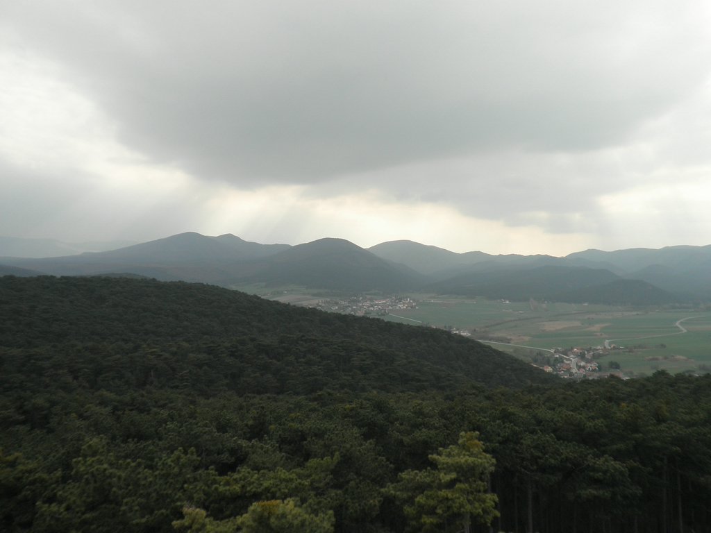 P4180090.JPG