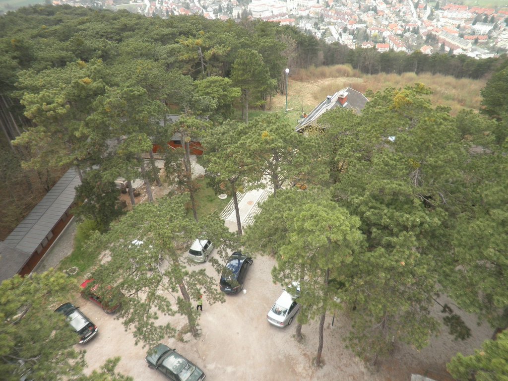P4180091.JPG