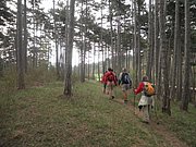 P4180026.JPG