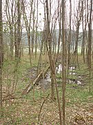 P4180027.JPG