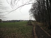 P4180030.JPG
