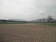 P4180037.JPG