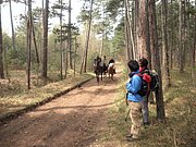 P4180041.JPG