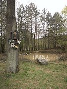P4180049.JPG