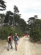 P4180050.JPG