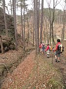 P4180065.JPG