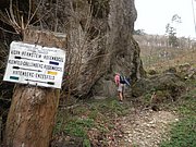 P4180066.JPG