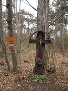 P4180074.JPG